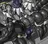 Murder drones breeding session