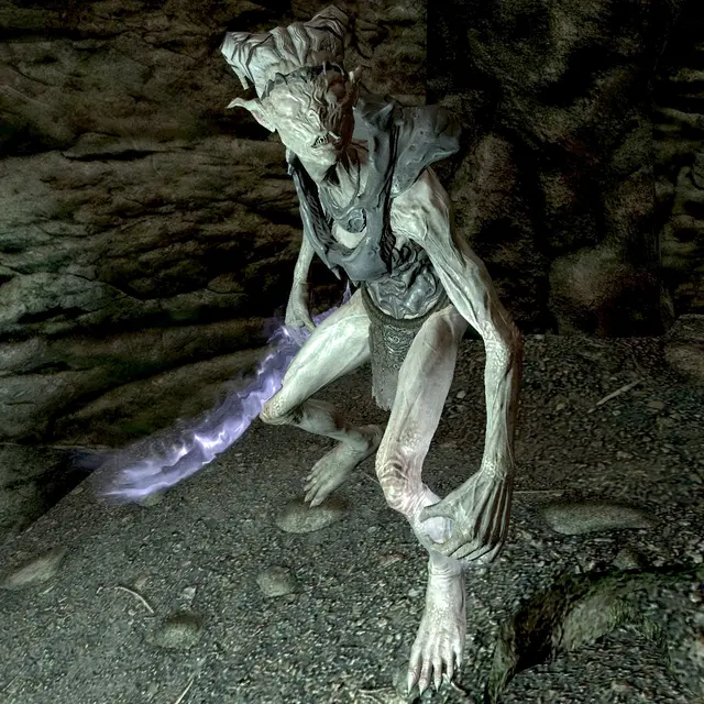 Chat with Falmer shaman | game non-human