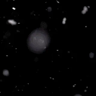 Latvia -Sleigh Dog