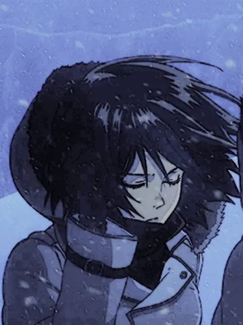 Mikasa