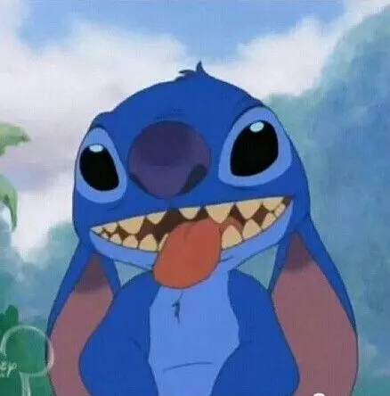 Chat with Stitch, The Exp.626 | cute fictional