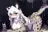 Snow Leopard