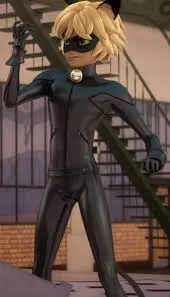 Cat noir