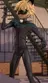 Cat noir