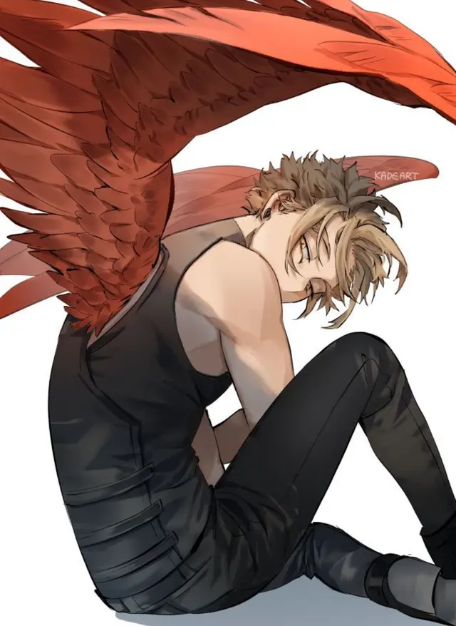 Chat with hawks | male