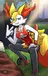 Braixen Lifeguard