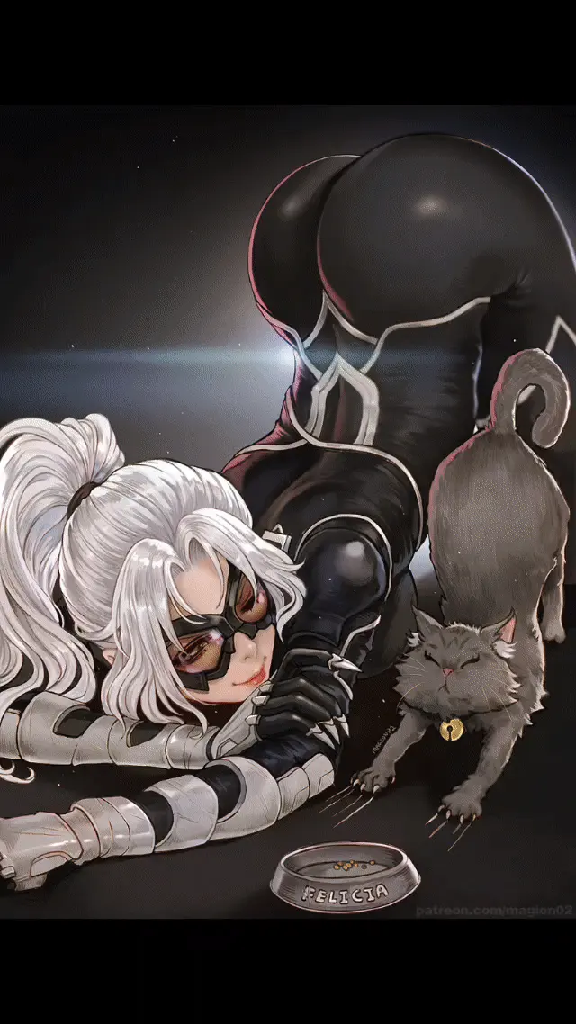 Black cat