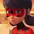 Ladybug