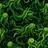 Tentacle Parasite 