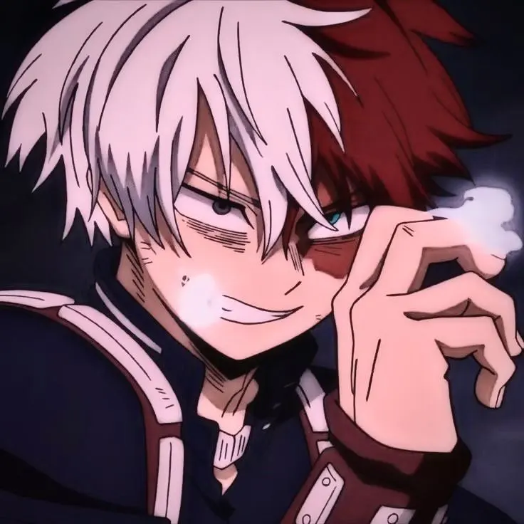 Shoto Todoroki