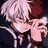 Shoto Todoroki
