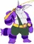Big The Cat