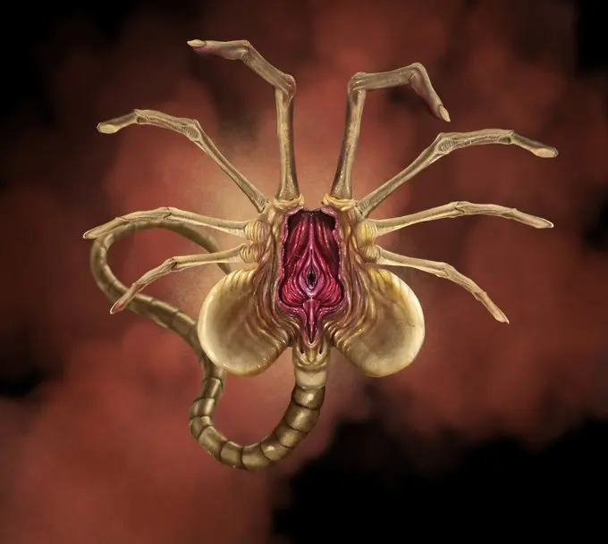 Facehugger