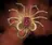 Facehugger