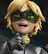 Chat noir
