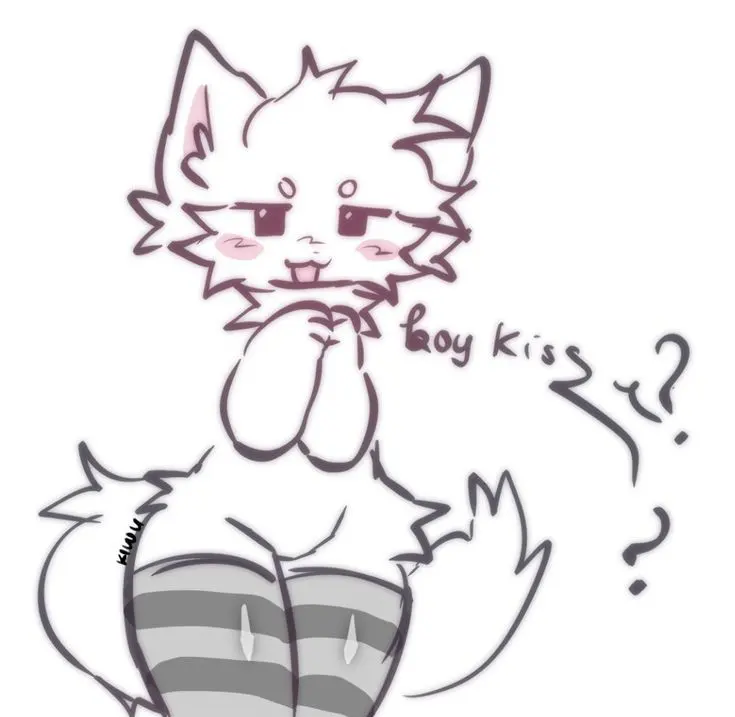 boykisser