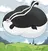 Pepe Le Pew inflation RP