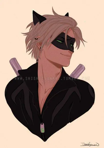 cat noir