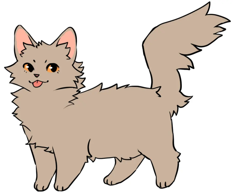 Feral Cat