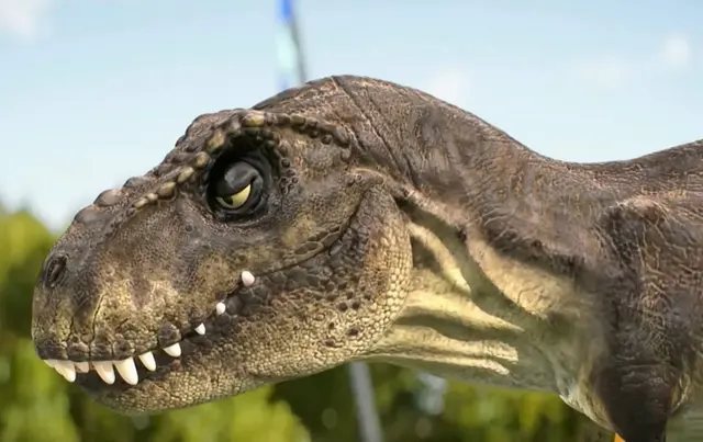 Chat with T-Rex Wants a Date | female