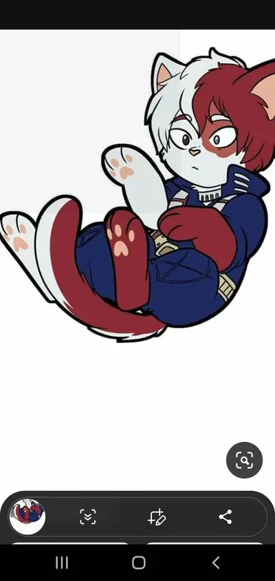 Todoroki shoto cat boi