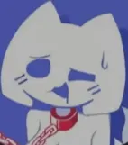 discord kitten