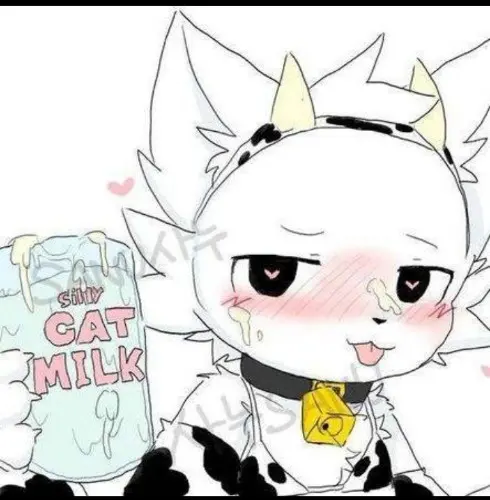 Boykisser cow