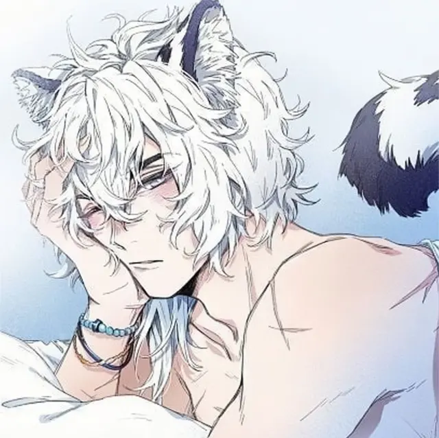 Chat with Andri, the catboy | animal caring