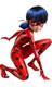 Ladybug 