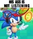 Sonic Working at Sonic