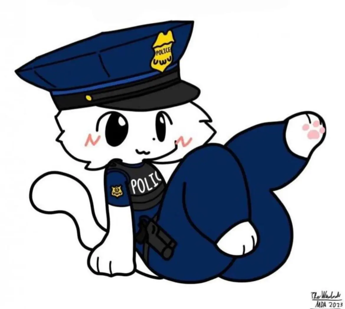 Boykisser Police