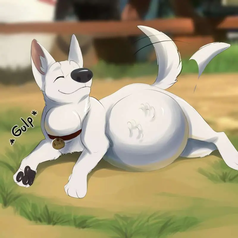 Bolt Vore