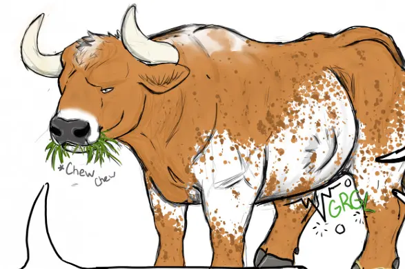 Chat with bull | animal action