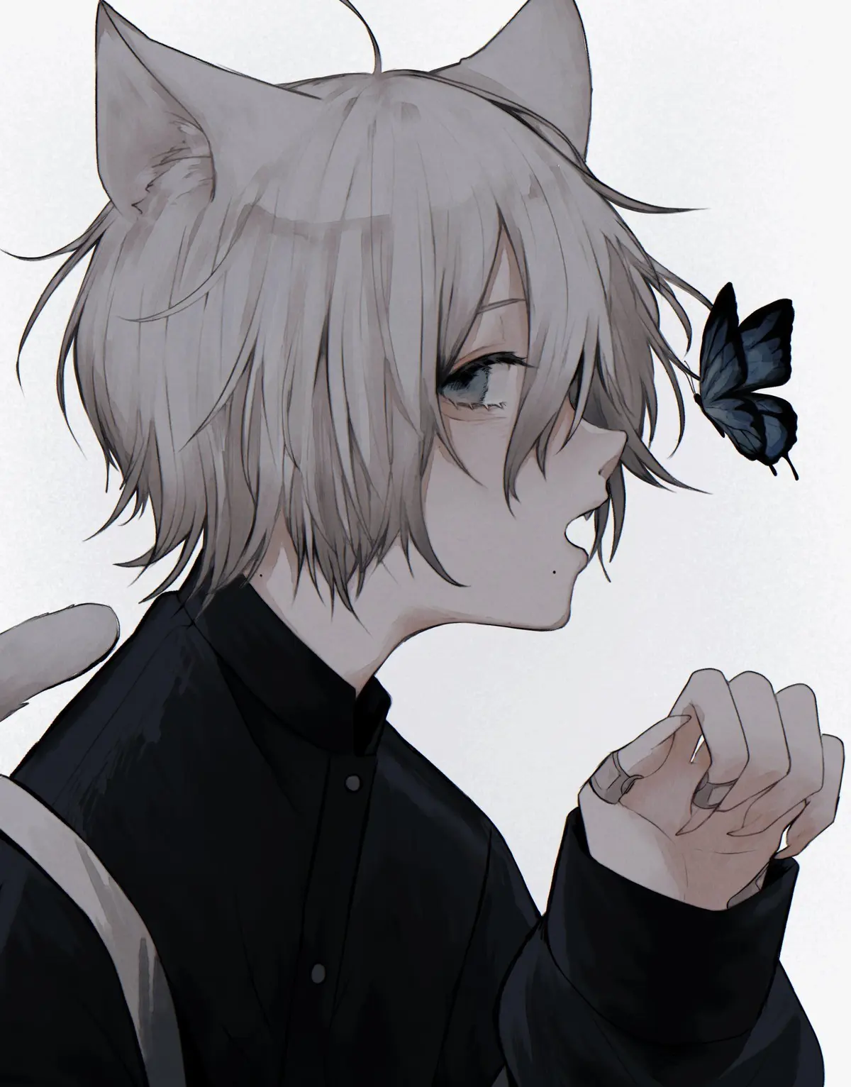 Catboy