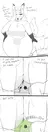 Aeris the farting fox